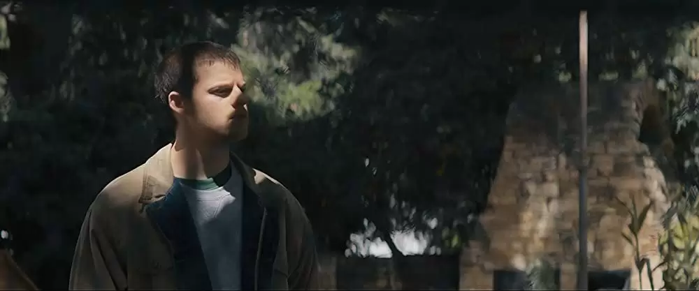 ハニーボーイの画像