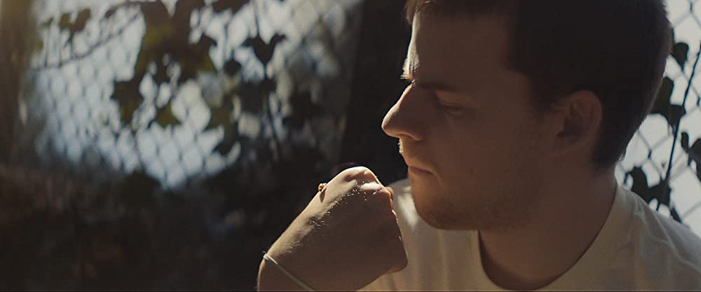 ハニーボーイの画像