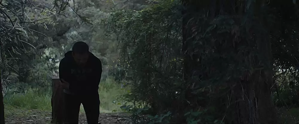 ハニーボーイの画像