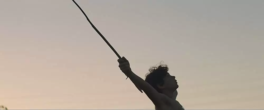 ハニーボーイの画像