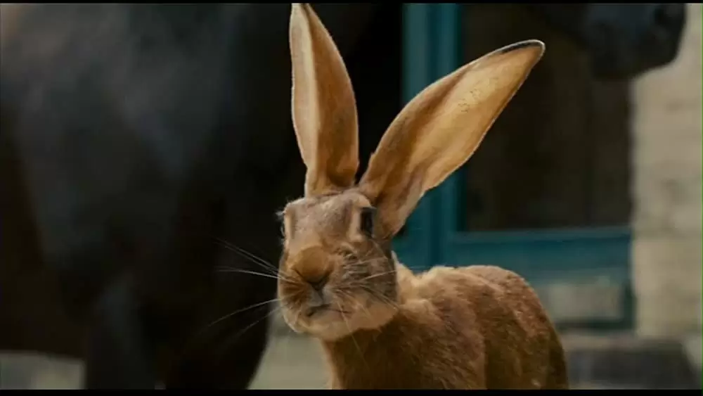 ガーフィールド2の画像