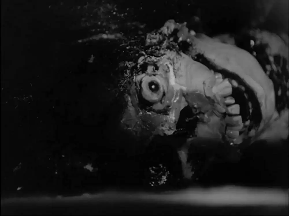 ナイト・オブ・ザ・リビングデッド 4K リマスター版の画像