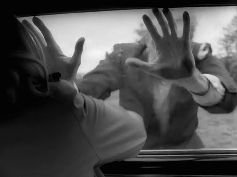 「ナイト・オブ・ザ・リビングデッド 4K リマスター版」S. William Hinzman & Judith O'Deaの画像