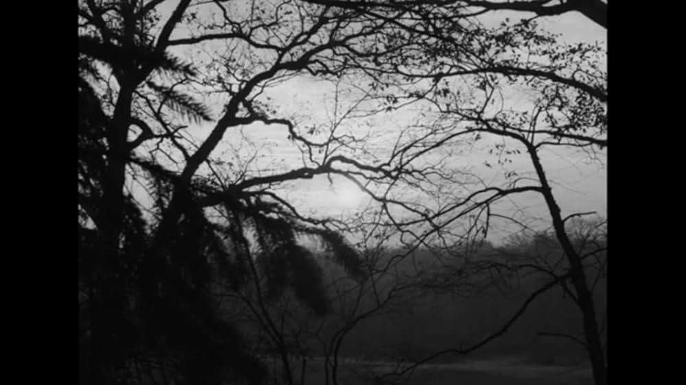 ナイト・オブ・ザ・リビングデッド 4K リマスター版の画像