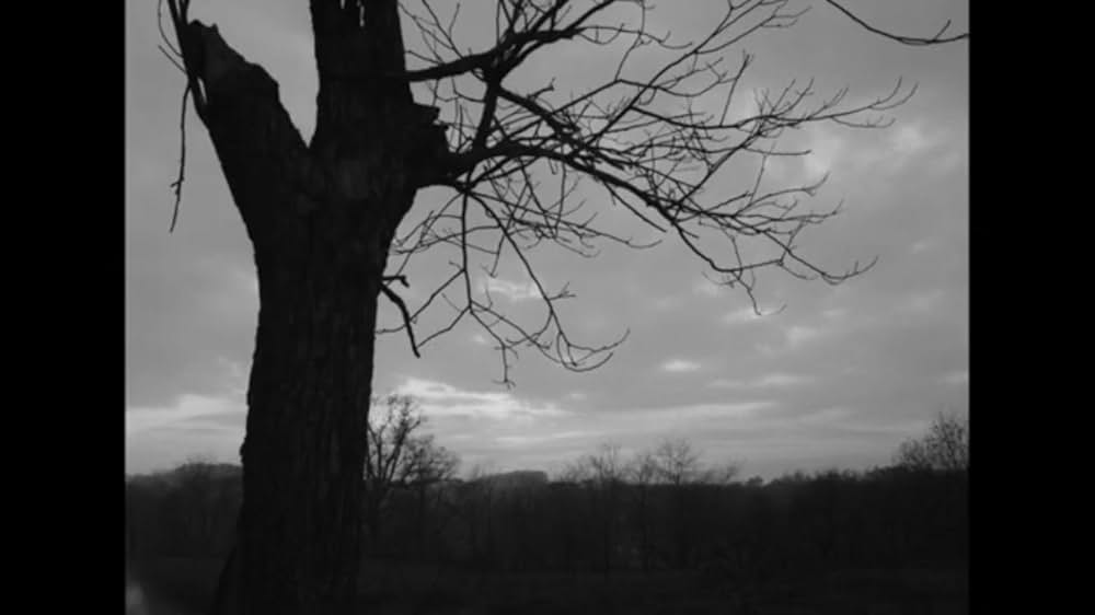 ナイト・オブ・ザ・リビングデッド 4K リマスター版の画像