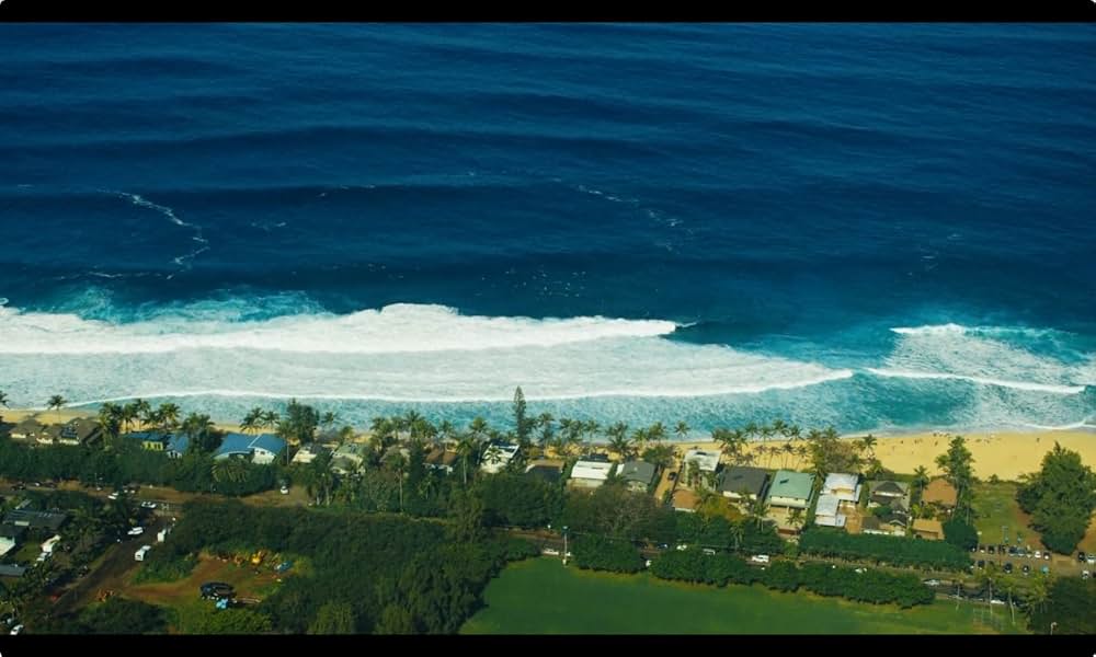 View from a Blue Moon（原題）の画像