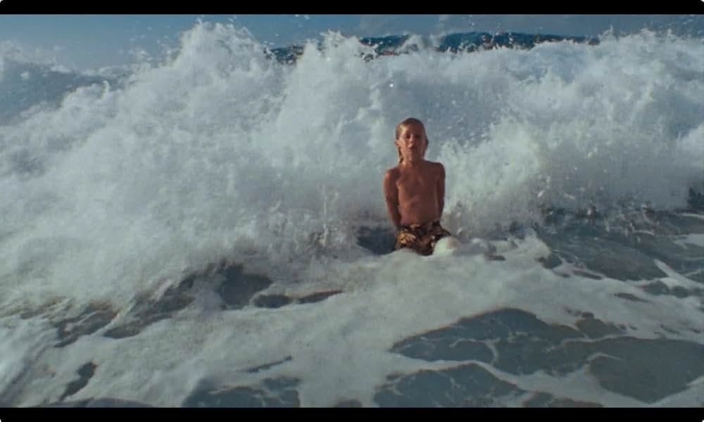 View from a Blue Moon（原題）の画像