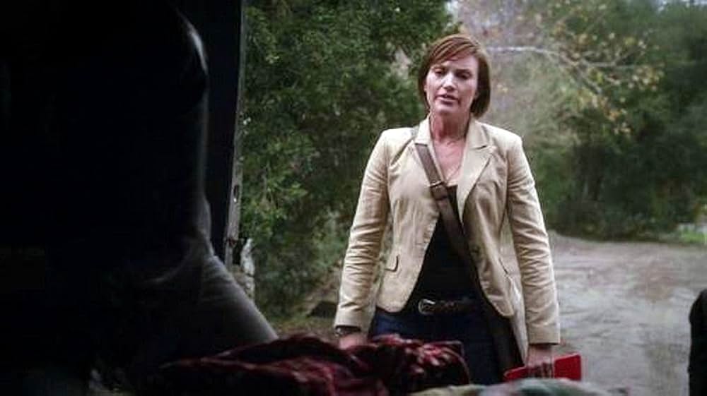 カリフォルニア・ディストラクションの画像