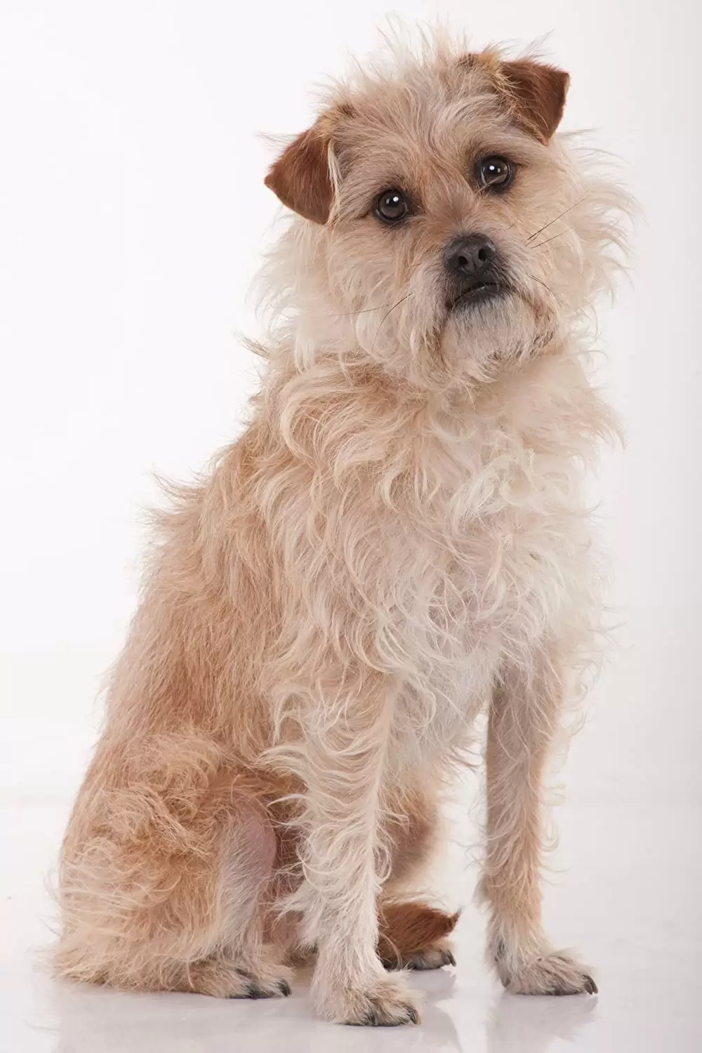 エンド・オブ・ザ・ワールドの画像