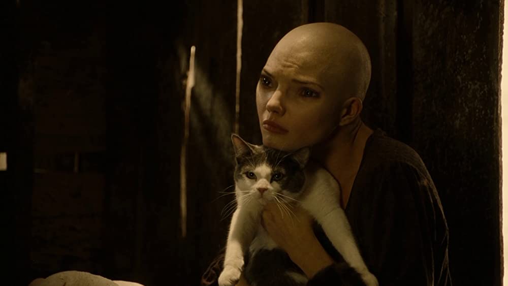 スプライスの画像