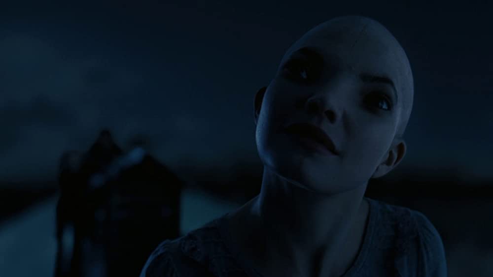 スプライスの画像