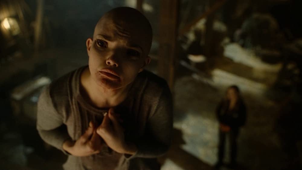 スプライスの画像