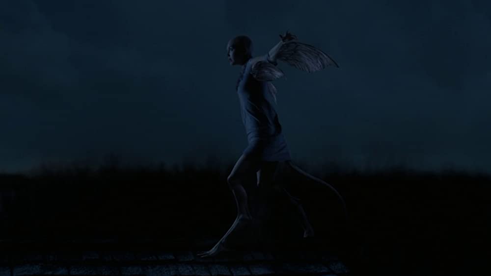 スプライスの画像