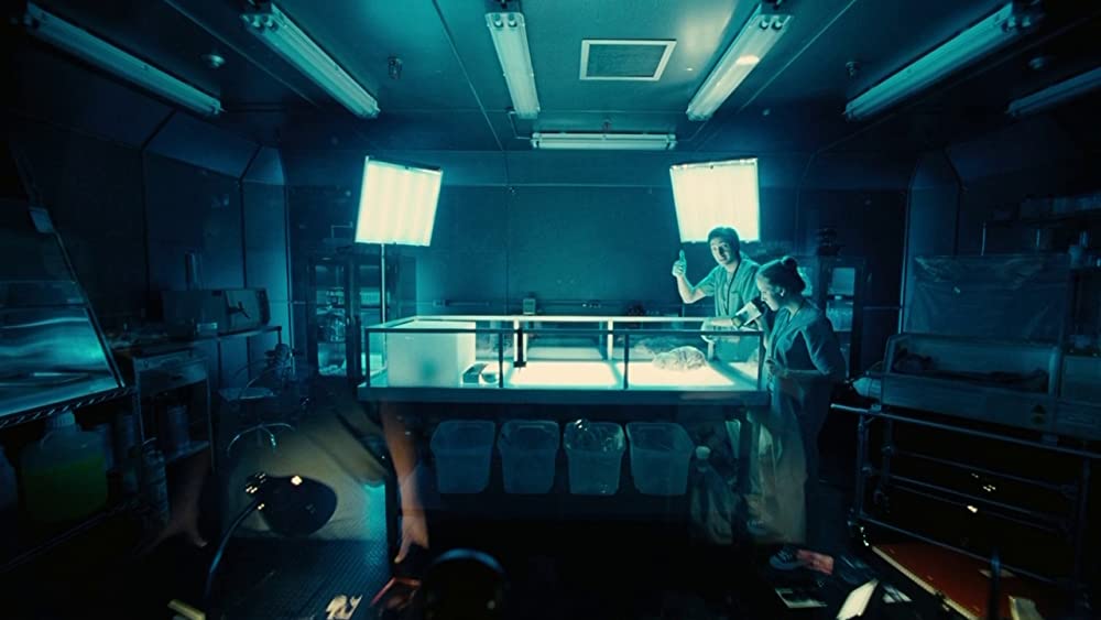 スプライスの画像