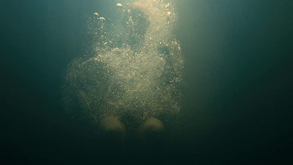 スプライスの画像