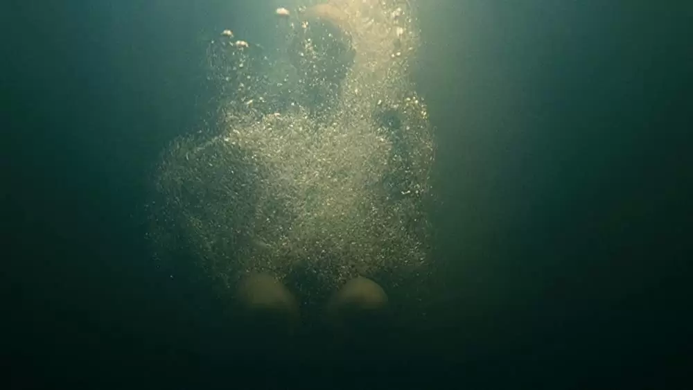 「スプライス」Delphine Chanéacの画像