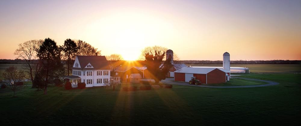 ディス・イズ・ライフ 人生の決断の画像