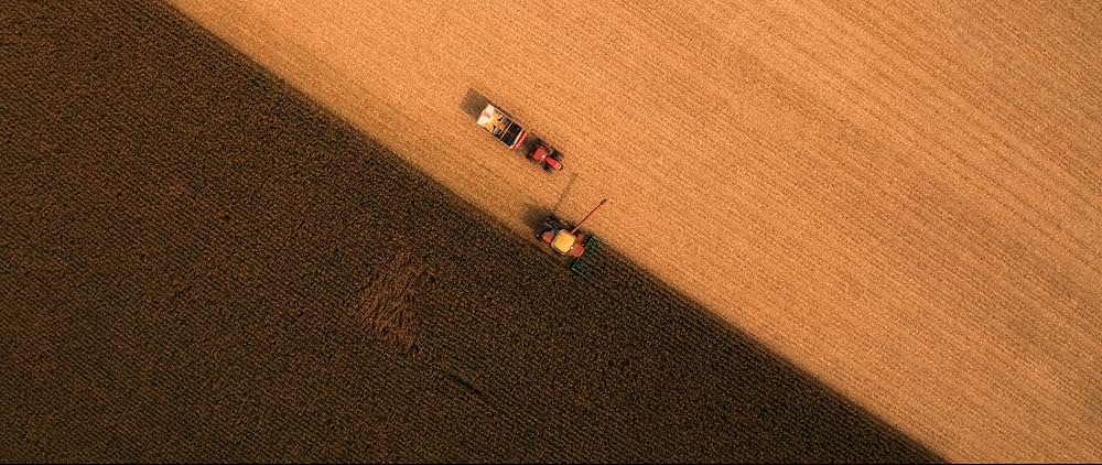 ディス・イズ・ライフ 人生の決断の画像