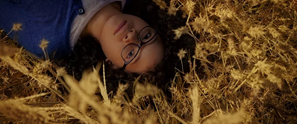 リンクル・イン・タイムの画像