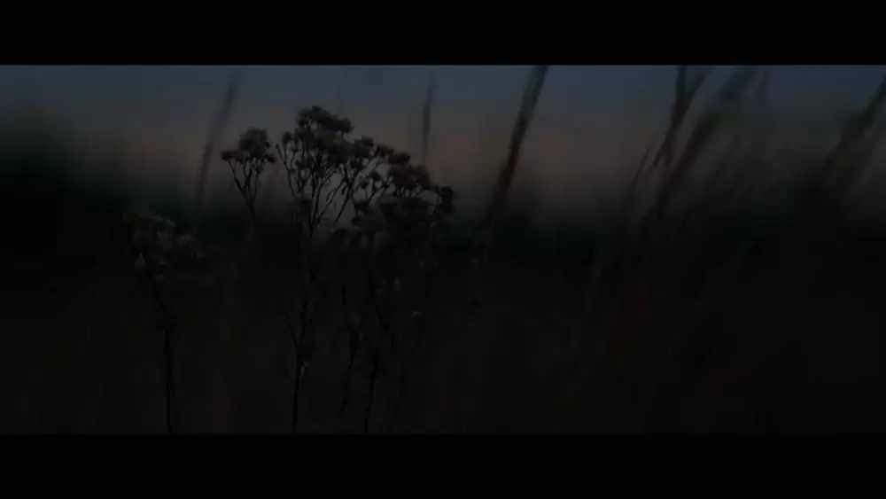 ミッドナイト・スペシャルの画像