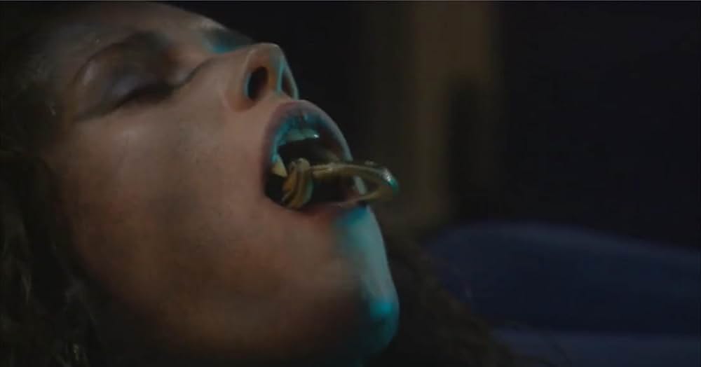 スネークトレインの画像