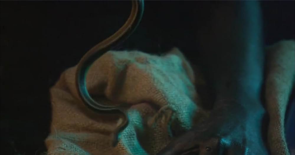 スネークトレインの画像