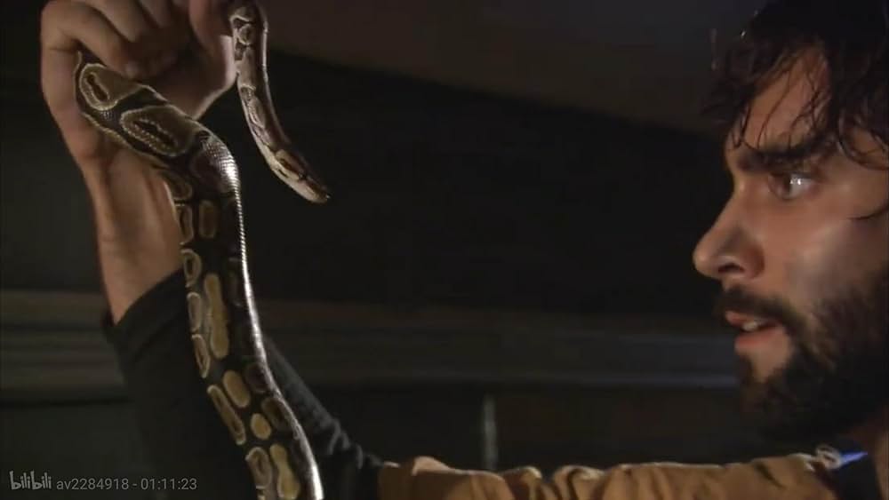 スネークトレインの画像