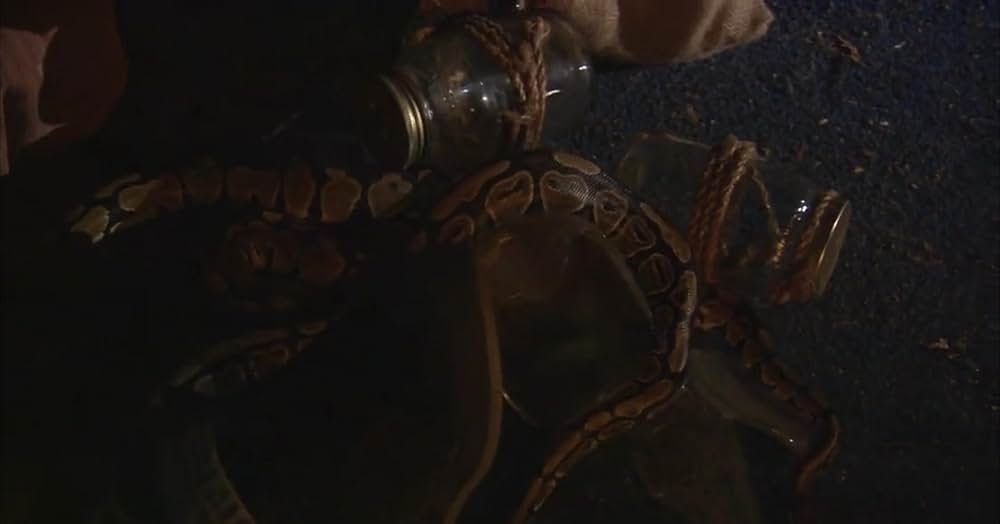 スネークトレインの画像