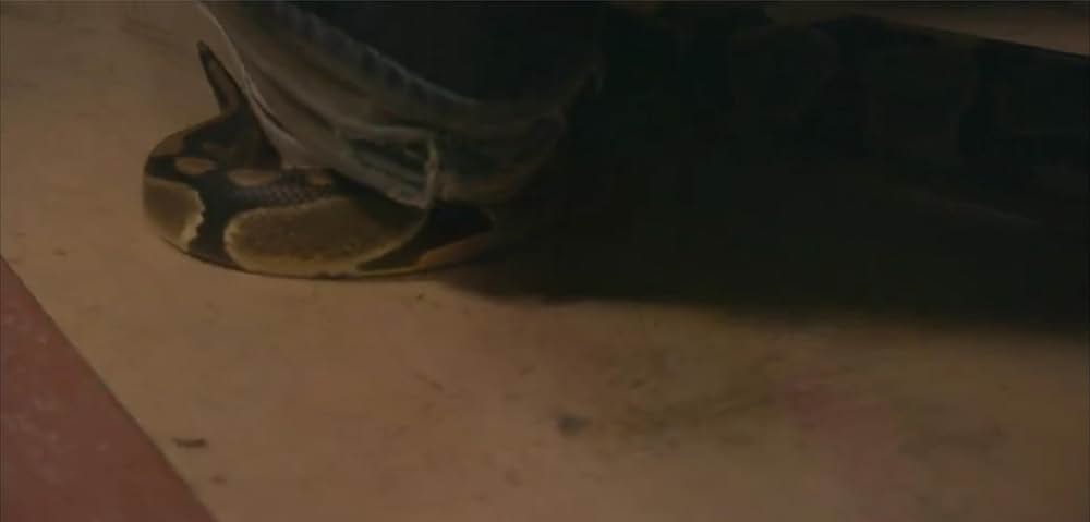 スネークトレインの画像