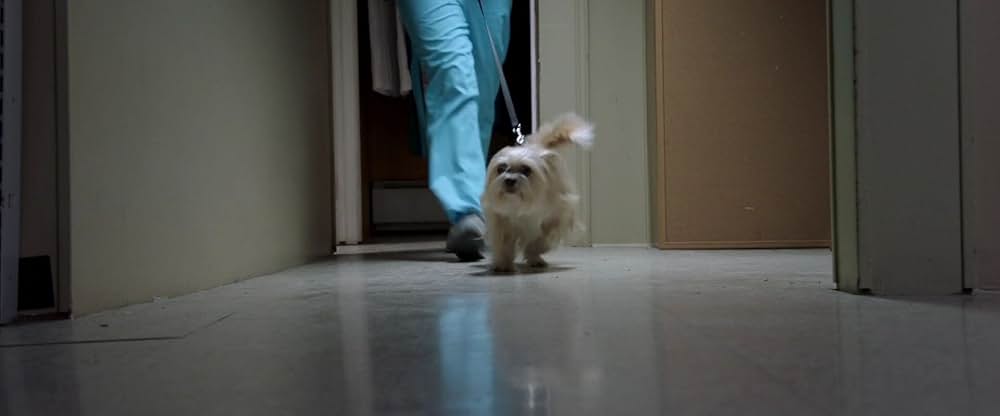 ホーンテッド・メモリーズ 戦慄ノ館の画像