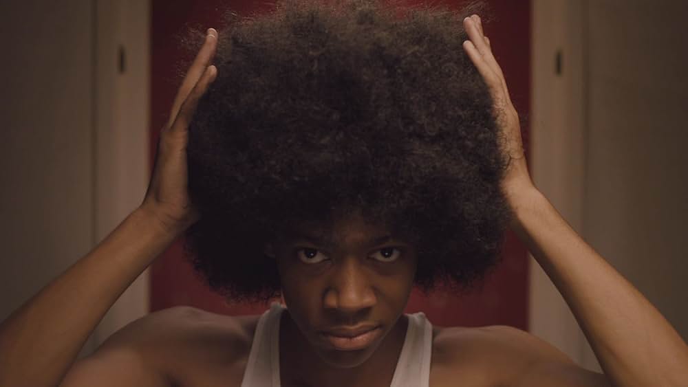 ディア・ホワイト・ピープルの画像