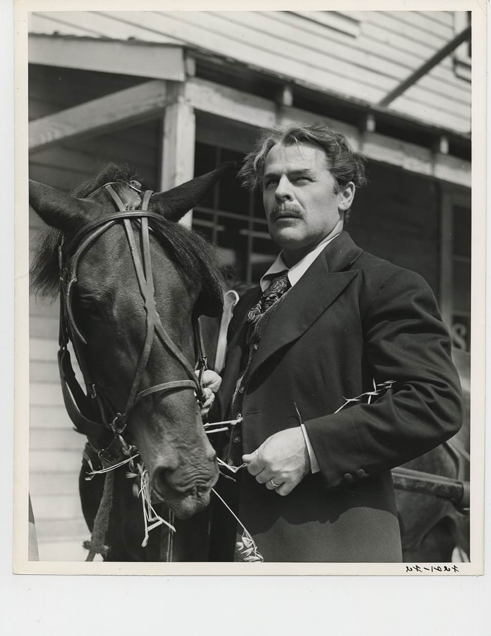 約束の地を目指せ！の画像