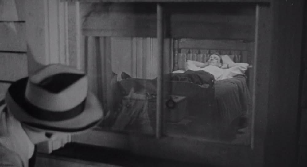 殺しが俺のビートの画像