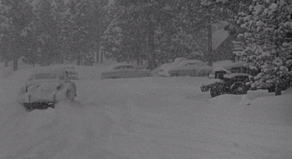 殺しが俺のビートの画像