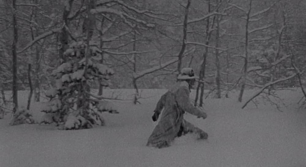 殺しが俺のビートの画像