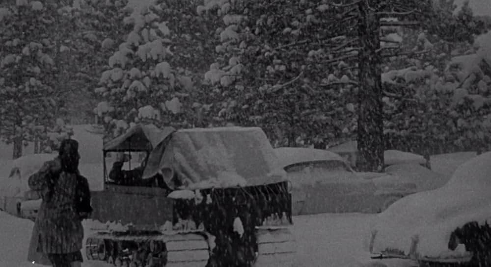 殺しが俺のビートの画像