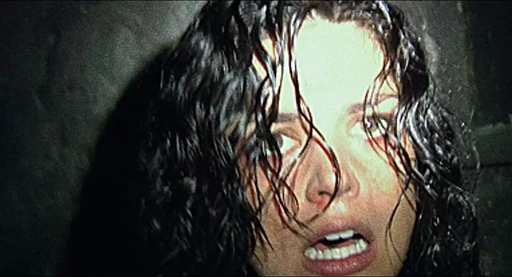 ブレア・ウィッチの画像