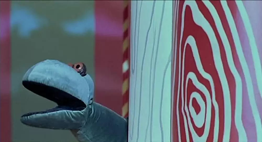 世界でいちばん不運で幸せな私の画像