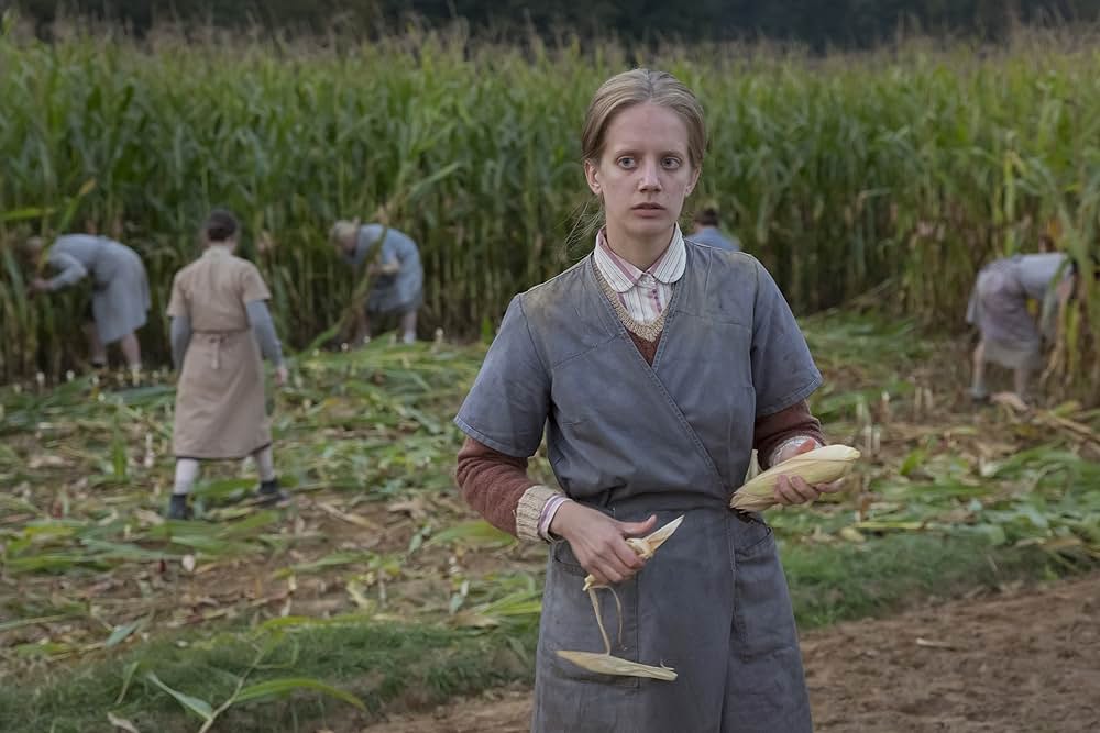 コロニアの画像