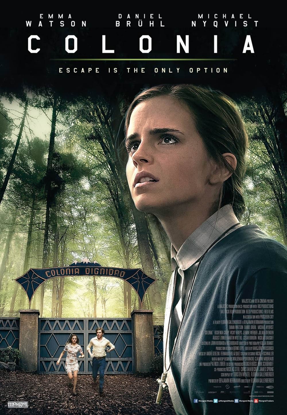 コロニアの画像