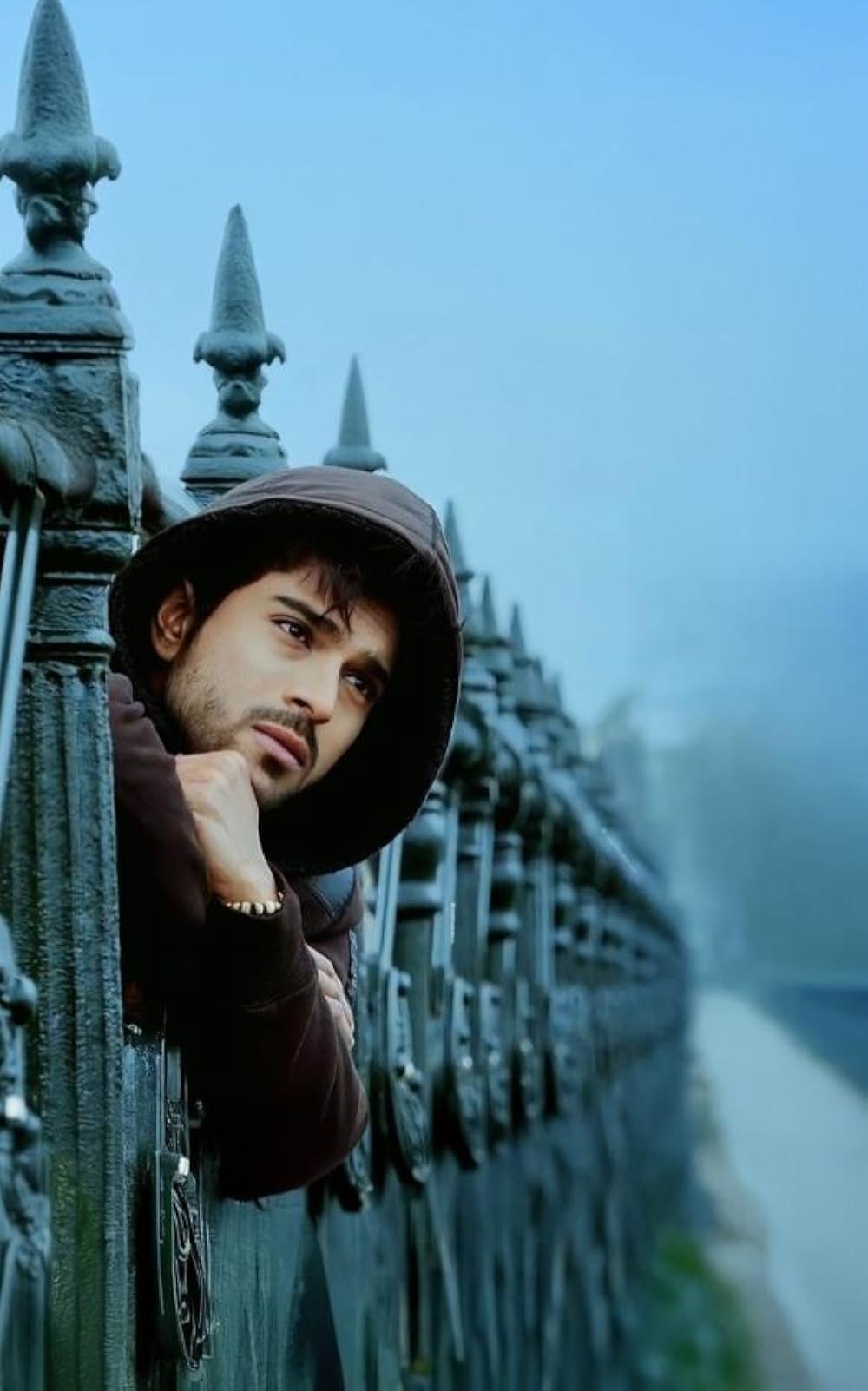 オレンジの画像