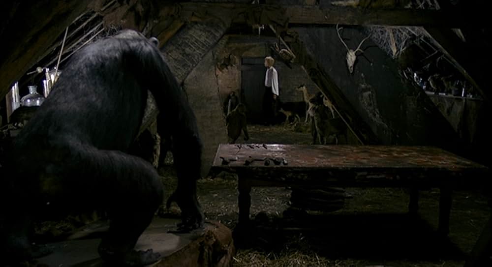 Malpertuis（原題）の画像