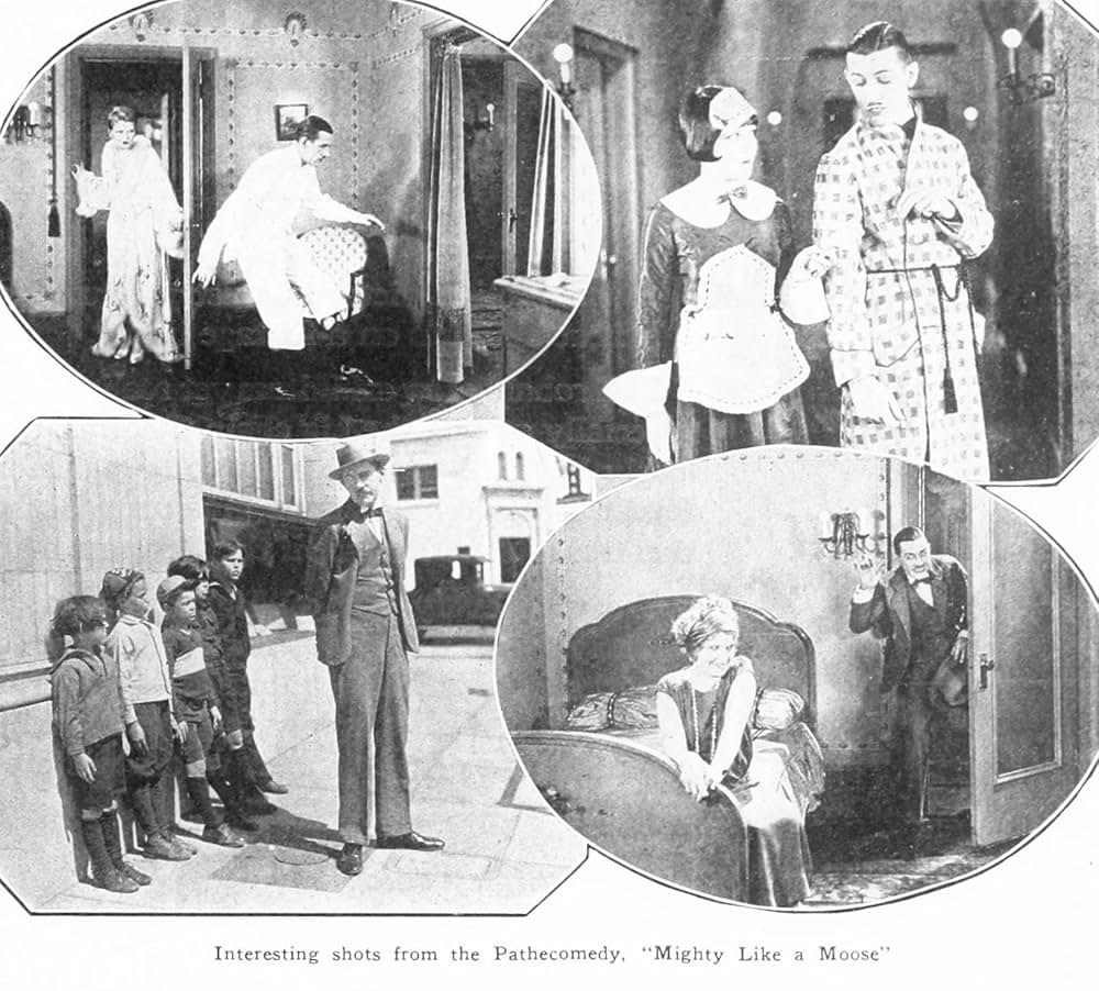 Mighty Like A Moose（原題）の画像