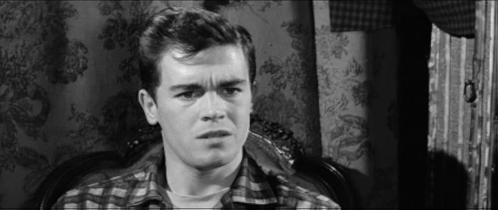 ザ・レザー・ボーイズの画像