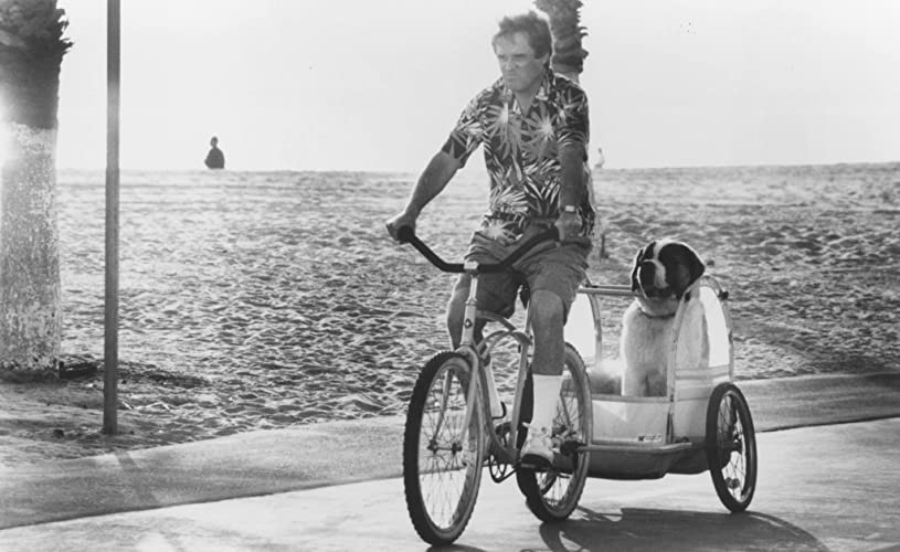 ベートーベンの画像