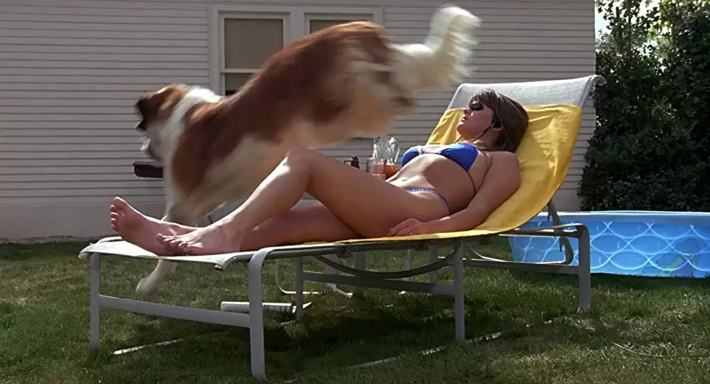 「ベートーベン」の画像