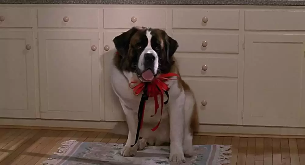 「ベートーベン」の画像