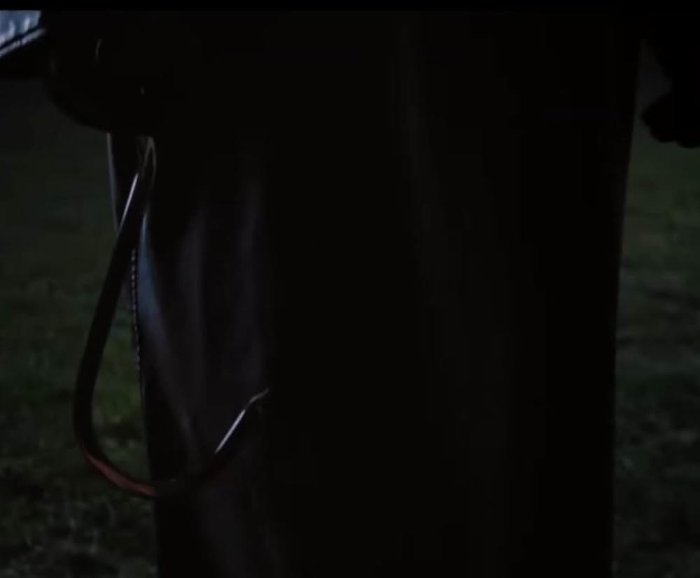 ラストサマー：リターンズの画像