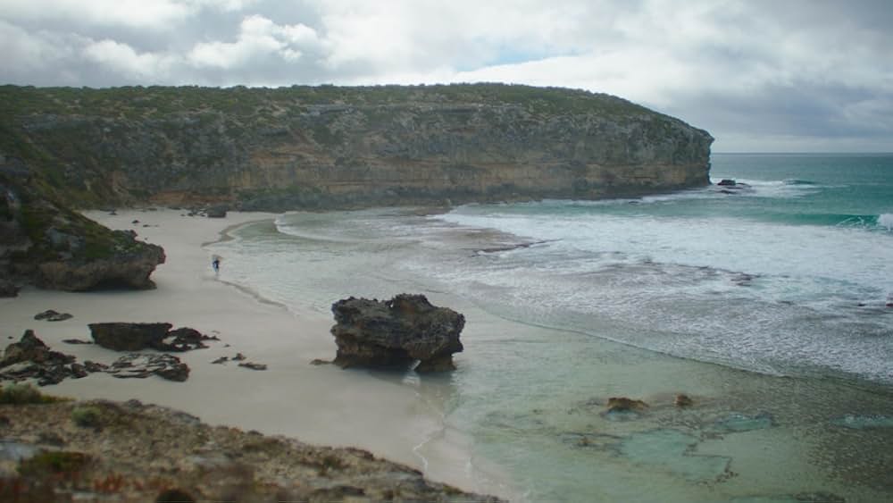 Kangaroo Island（原題）の画像