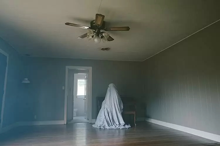 A GHOST STORY ア・ゴースト・ストーリーの画像